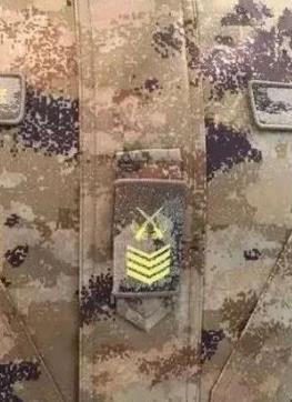 中山大面外墙建议图案比例协调