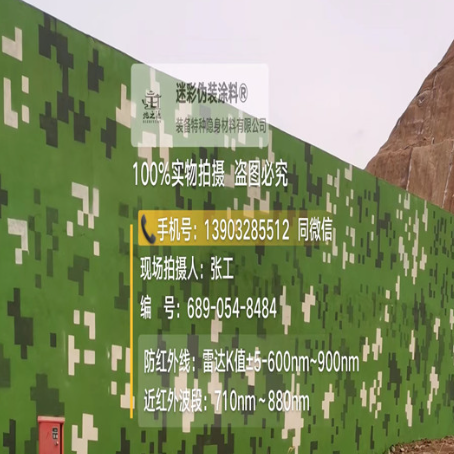 中山专业承接园区围墙迷彩喷涂、